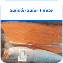 Salmon Salar filete congelado