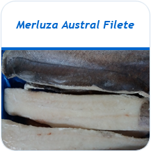 Merluza Austral filete congelado