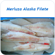 Merluza Alaska filete congelado