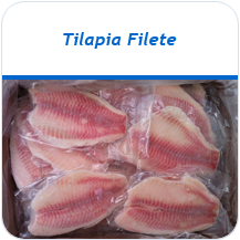 Tilapia filete congelado