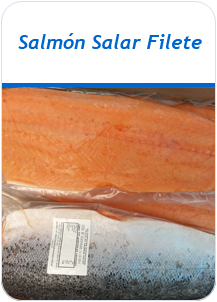 Salmon Salar Filete