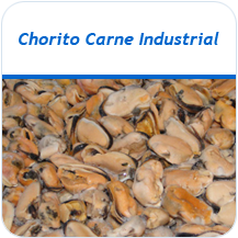 Chorito carne industrial congelado